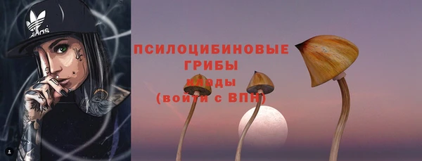 гашиш Дмитриев