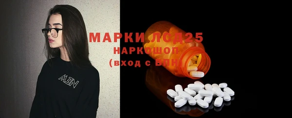 соль ск Дмитров