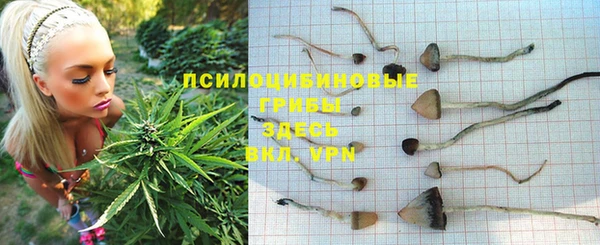 соль ск Дмитров