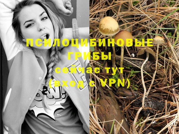 MDMA Дмитровск